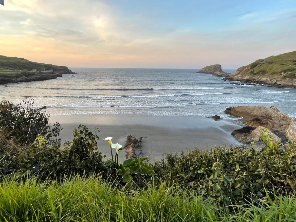 La Palmera Y El Mar *
